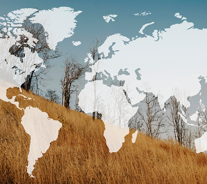 How to Choose the Right Citizenship by Investment Program